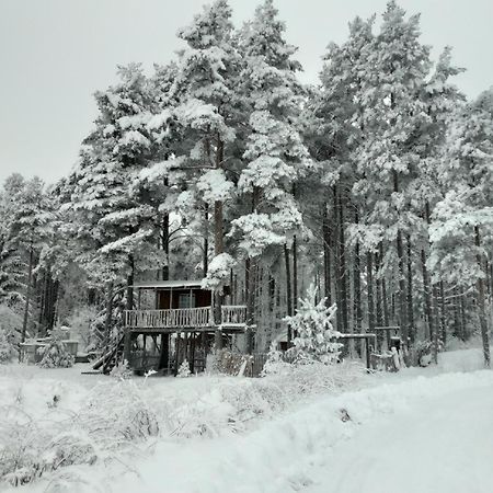 Elulong Camping Lohusuu Εξωτερικό φωτογραφία