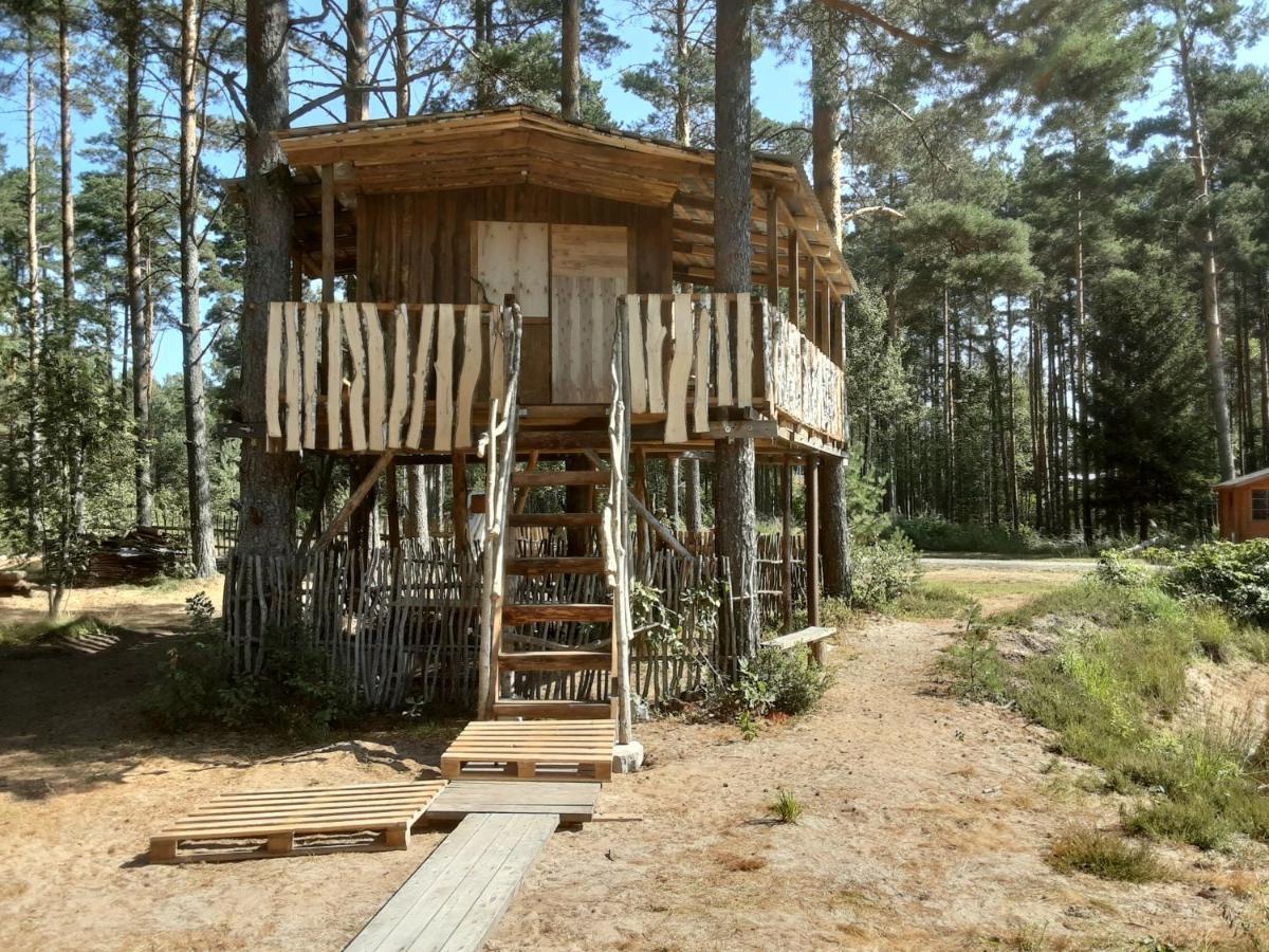 Elulong Camping Lohusuu Εξωτερικό φωτογραφία