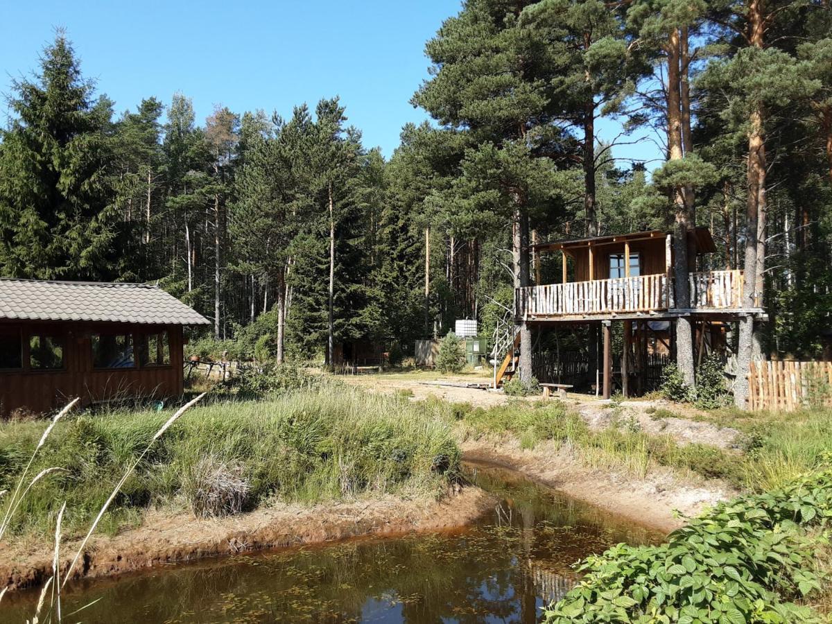 Elulong Camping Lohusuu Εξωτερικό φωτογραφία