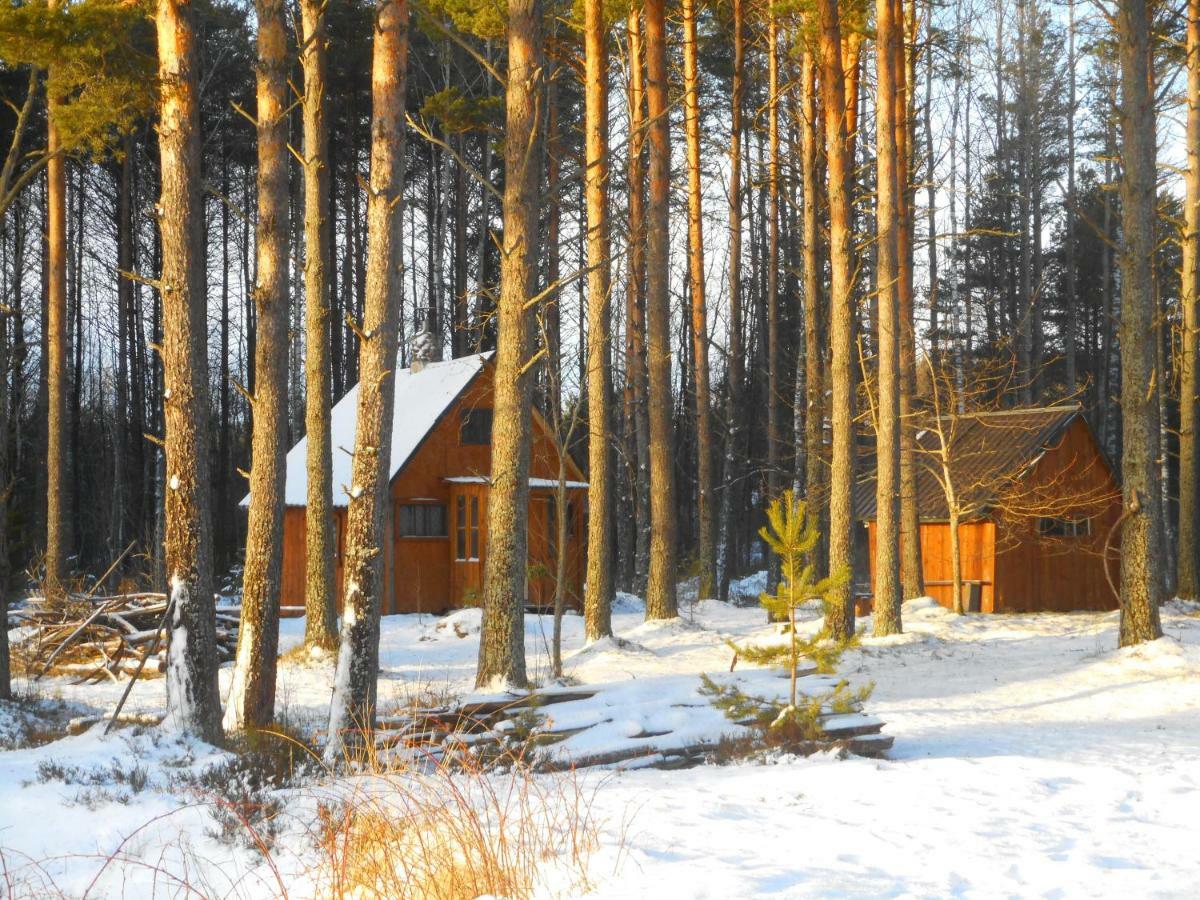 Elulong Camping Lohusuu Εξωτερικό φωτογραφία